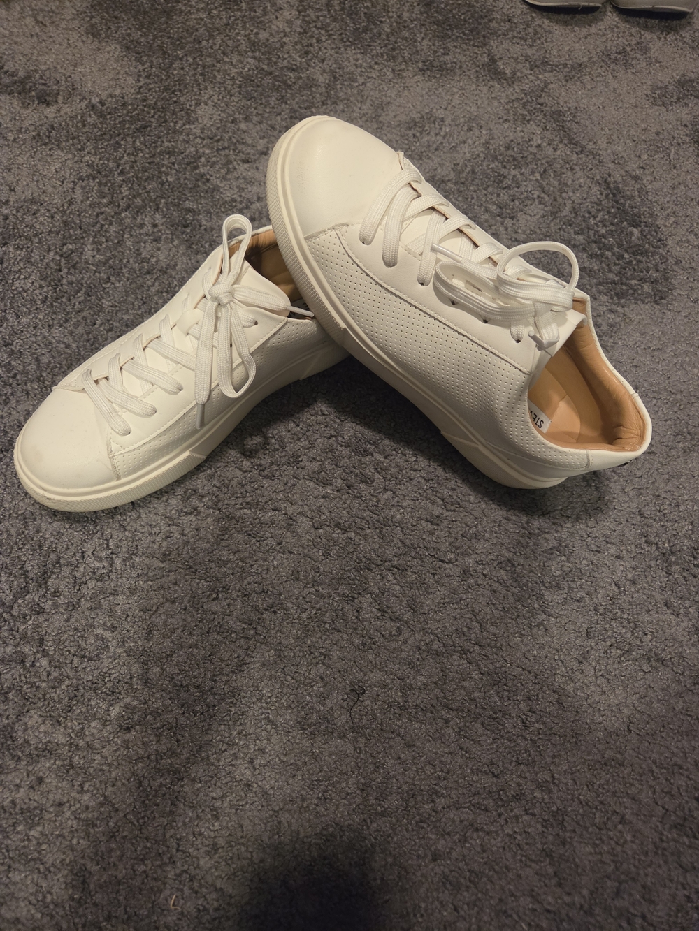 Steve Madden Low-Top White Sneakers